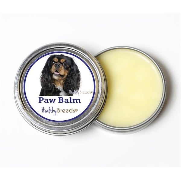 Healthy Breeds 840235193098 2 oz Cavalier King Charles Spaniel Dog Paw Balm 840235193098 - main
